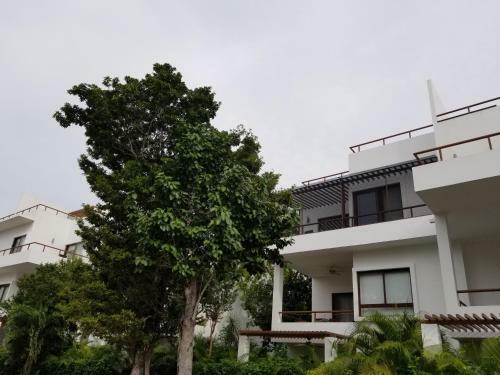 Charming Apartment Within Bahia Principe 5*