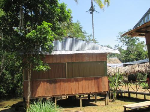 Jungle Explorer Lodge