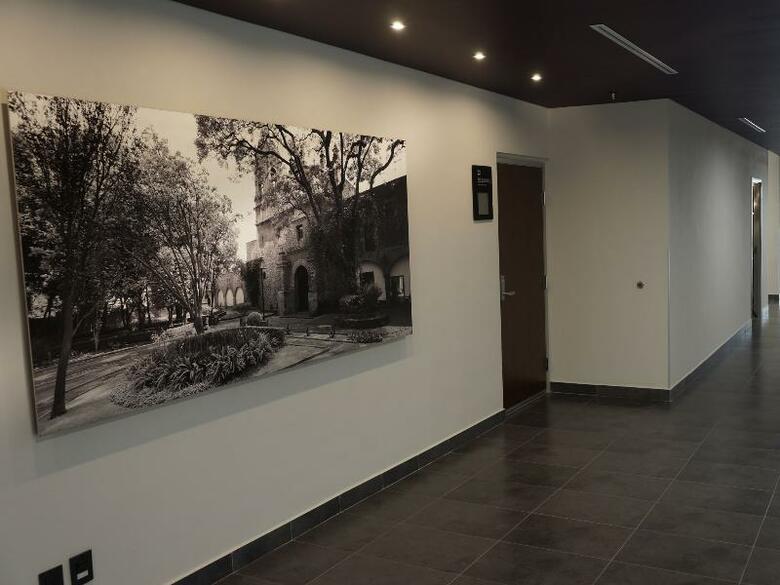Hotel City Express Plus Patio Universidad