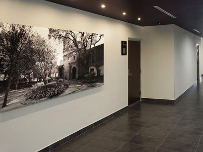 Hotel City Express Plus Patio Universidad