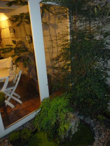 Bed & Breakfast Hospedaje El Zagu�n