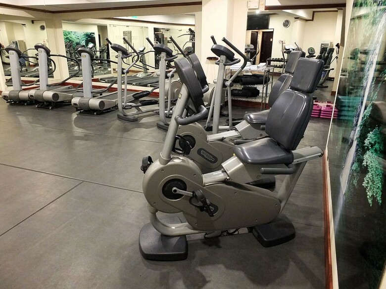 Hotel Holiday Inn San Jose-aurola