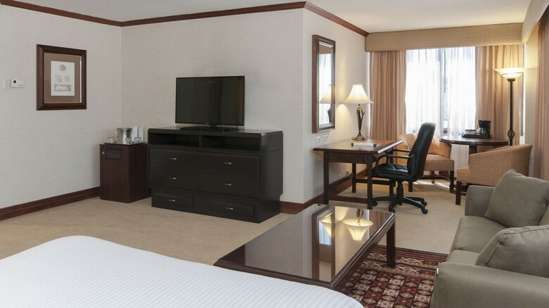 Hotel Holiday Inn San Jose-aurola