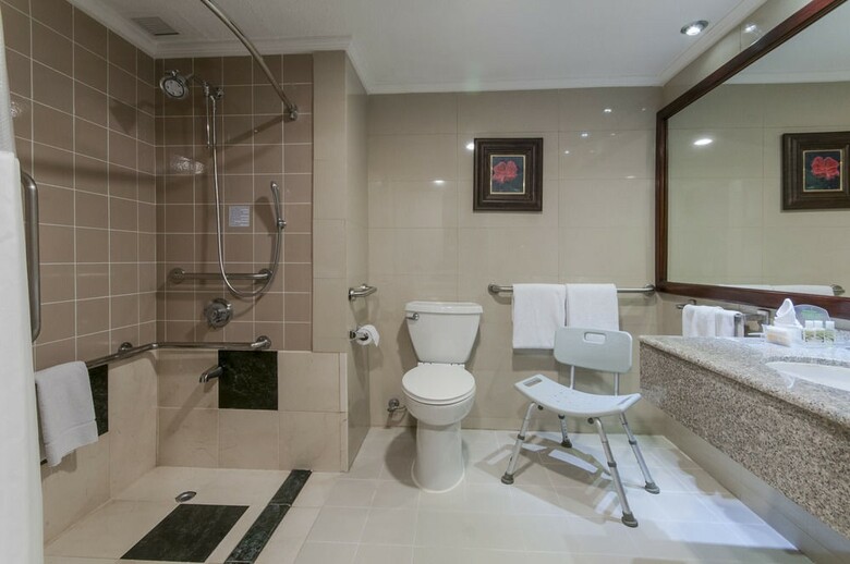 Hotel Holiday Inn San Jose-aurola