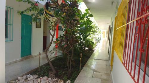 Hotel Posada Edem