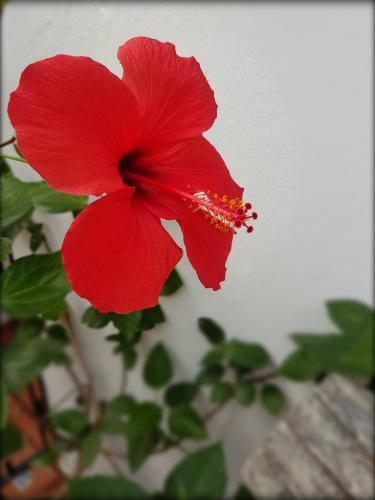 Hotel Rinc�n De Las Nieves