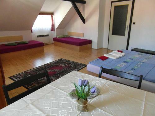 Hostal Pension U Soudu
