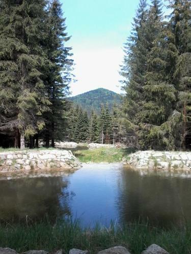 Hostal Penzion Hakl
