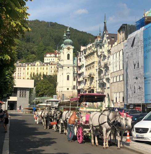 Apartm�n Orchidej U Vr�dla