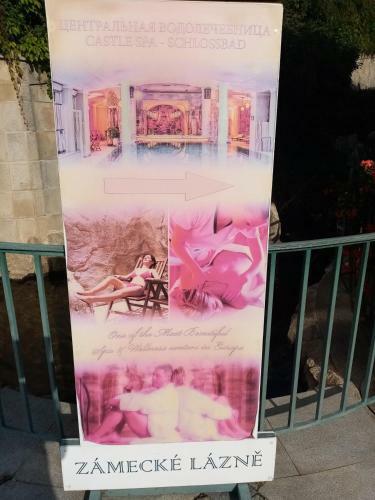 Apartm�n Orchidej U Vr�dla