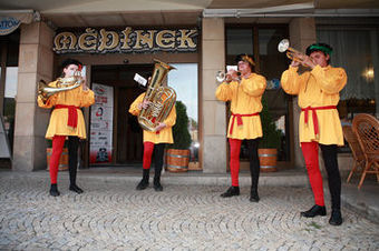 Hotel Med�nek Old Town