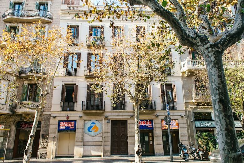 Hostal Zoorooms Boutique Guesthouse
