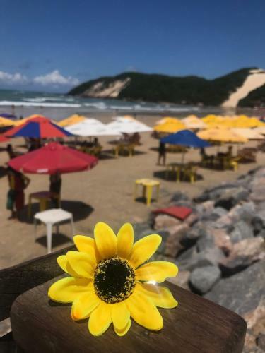 Hostal Pousada America Do Sol
