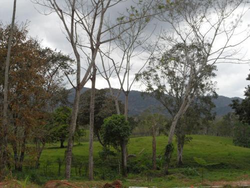 Posada Auto Hotel Para�so Inn