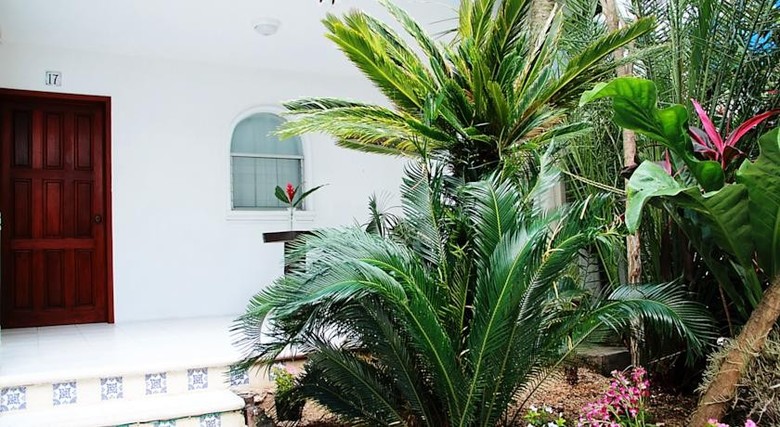 Tropical Casablanca Party Hotel