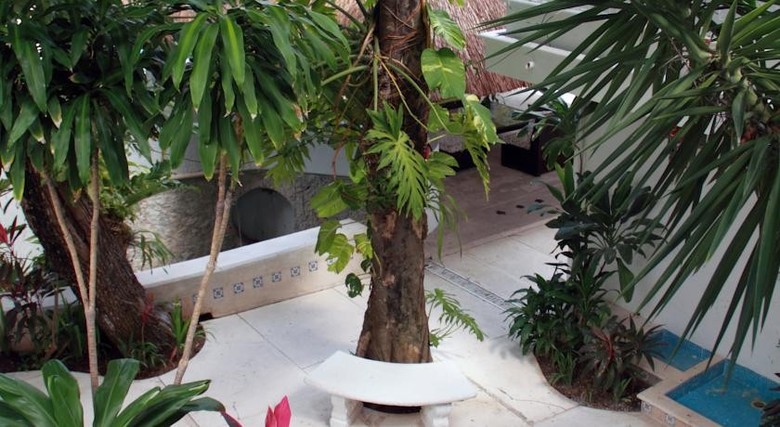 Tropical Casablanca Party Hotel