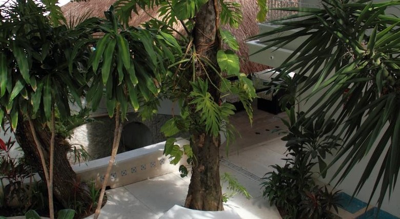 Tropical Casablanca Party Hotel