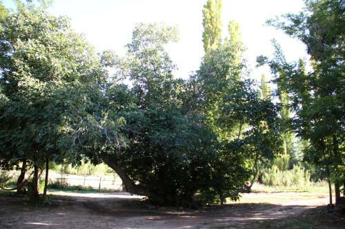 Apartamento Rancho Por Fin