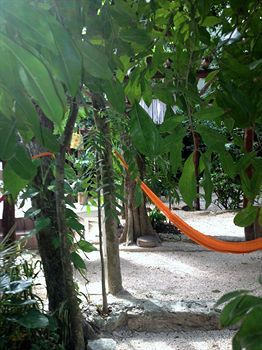 Hotel Eco-lodge Shalala