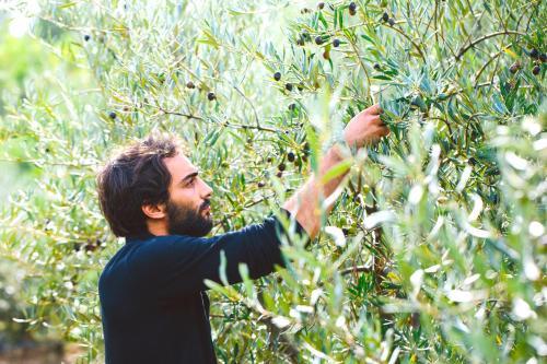 Agroturismo Can Torna