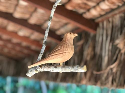 Hostal Bangal� Dos Sonhos