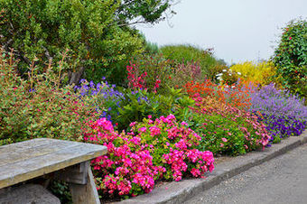 Surf Motel And Gardens