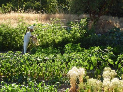 Agroturismo Cortijo Los Iberos "casa Ibero"