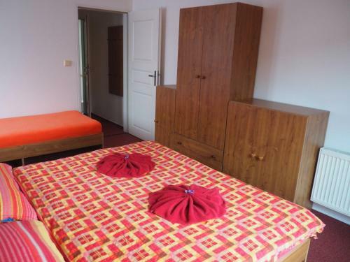 Hostal Pension Boruvka