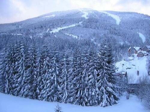 Hostal Pension-apartmany Apollo