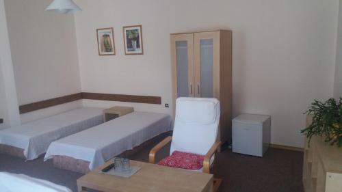Hostal Penzion A Restaurace Modr� R??e T�bor