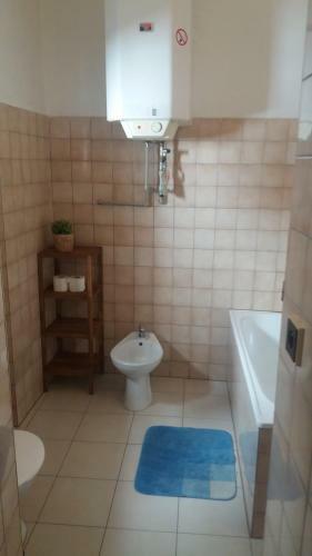 Hostal Penzion A Restaurace Modr� R??e T�bor
