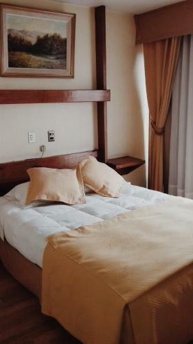 Hotel Plaza Los Andes