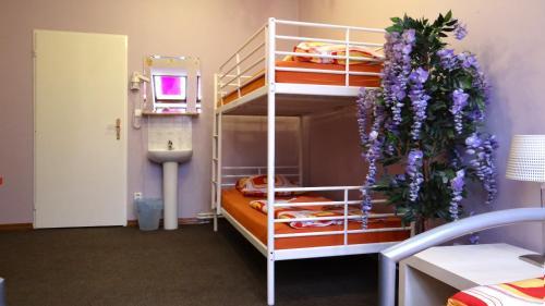 Sokolska Youth Hostel