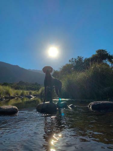 Agroturismo Caba�as San Miguel