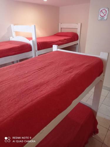 Calafate Viejo Hostel