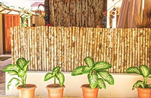 Hostal Pousada Baob�