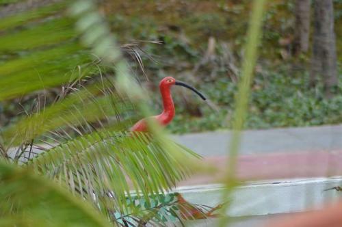 Hostal Pousada Maramazon