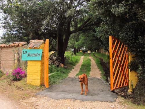Hotel La Juanita Finca Verde