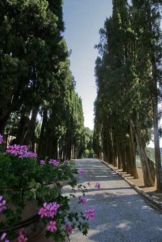 Agroturismo Villa Poggiano