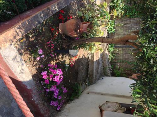 Bed & Breakfast Mediterraneo Guest House