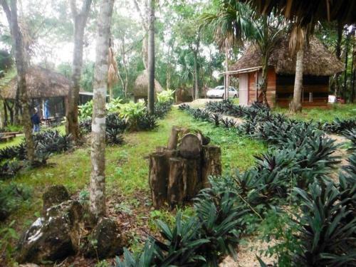 Lodge Caba�as Ecologicas Tumben Ha