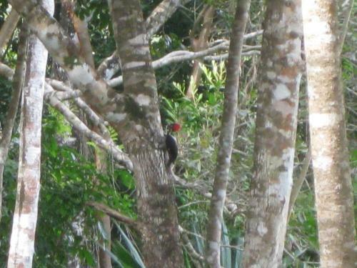 Lodge Caba�as Ecologicas Tumben Ha