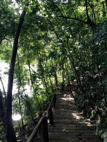 Lodge Caba�as Ecologicas Tumben Ha