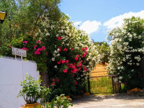 Agroturismo El Antiguo Molino