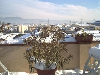 Hotel Annabella