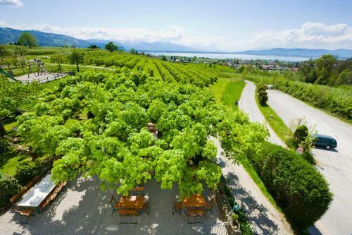 Hotel Montfort-schl�ssle