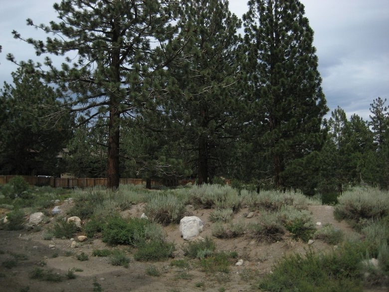 Apartamento La Vista Blanc By Mammoth Reservation Bureau