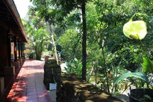 Kluka's Cottage & Tour - Casa