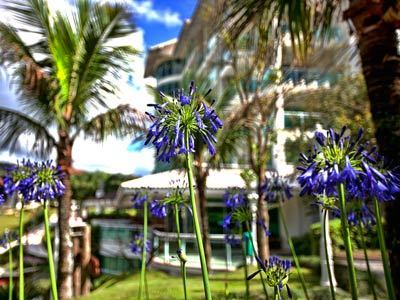 Agroturismo Fazzenda Park Hotel