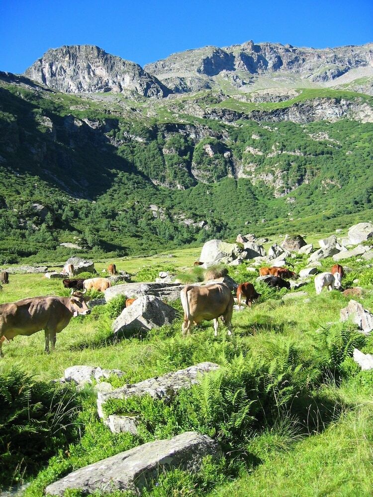 Agroturismo Agriturismo Alagna